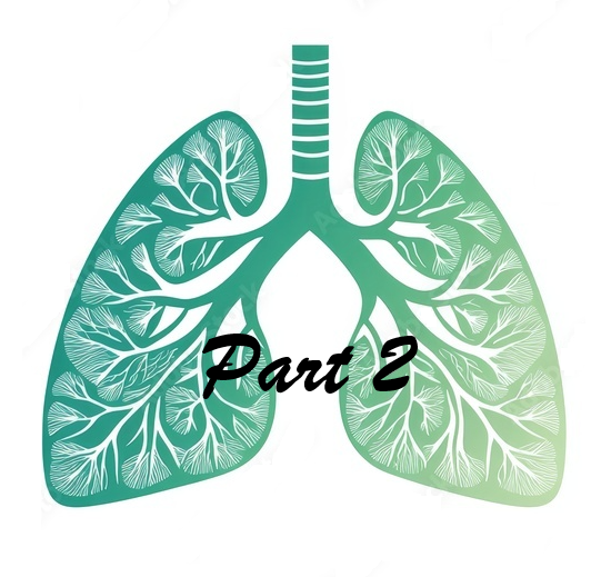 Breathing in the Word When Every Breath Is a Battle – Part 2